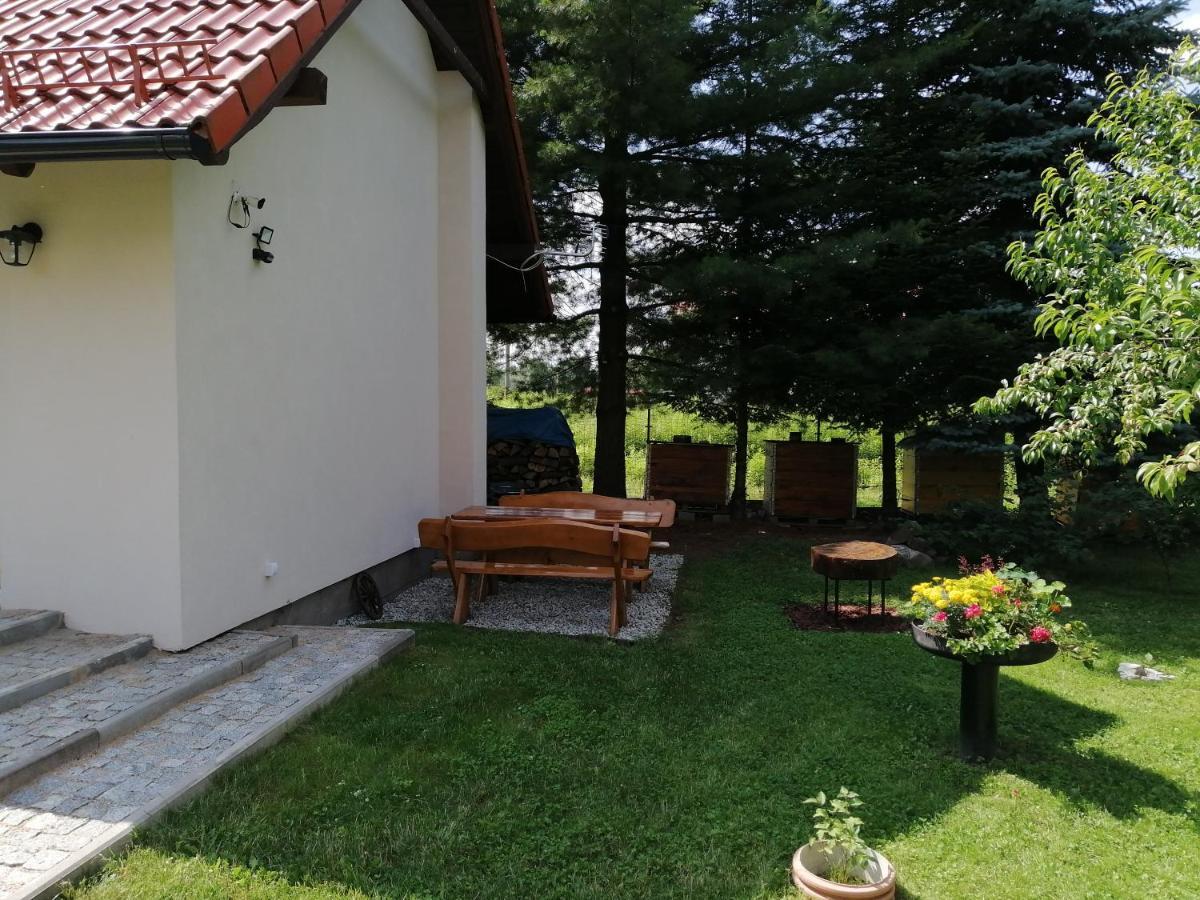 Domek Pod Karpaczem Myslakowice Exterior photo